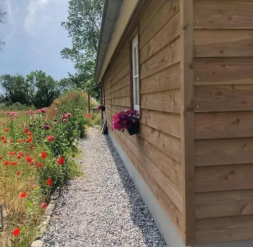 Tatil Evi Coastal Zilt Ouddorp