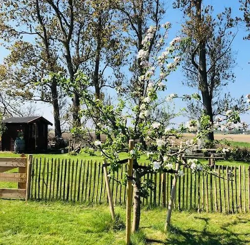 Coastal Zilt Tatil Evi *