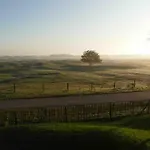 Coastal Zilt Nyaraló