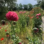 Nyaraló Coastal Zilt