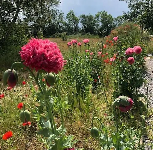 Nyaraló Coastal Zilt